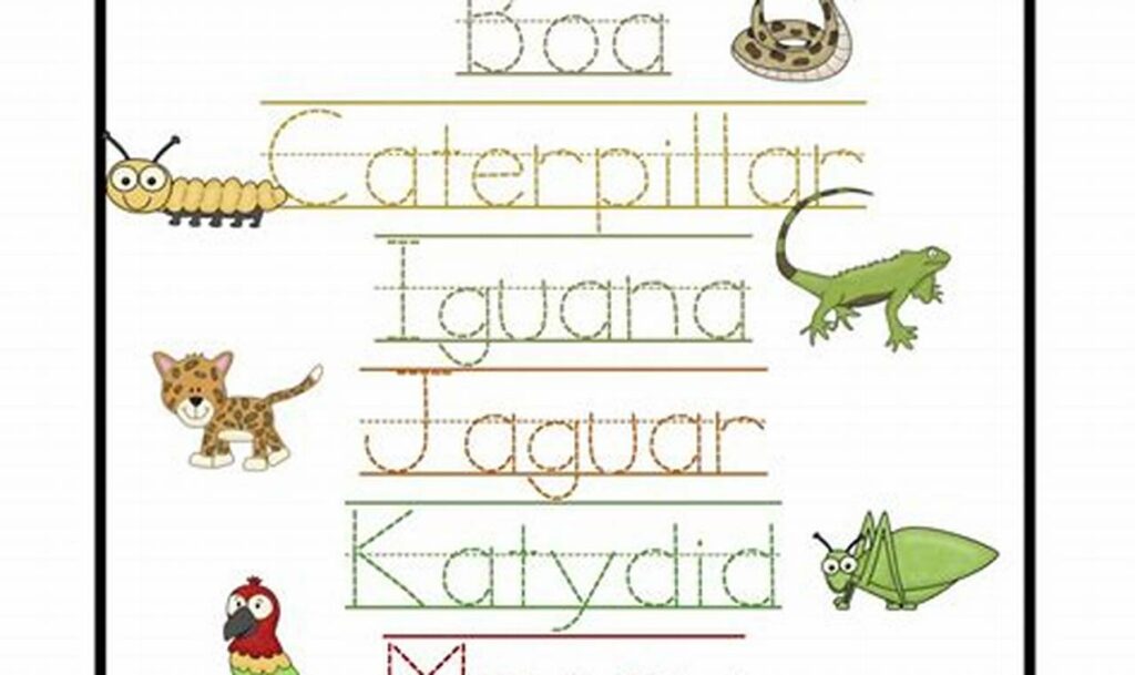 Free Rainforest Animals Tracing Sheets: Fun &amp; Easy!
