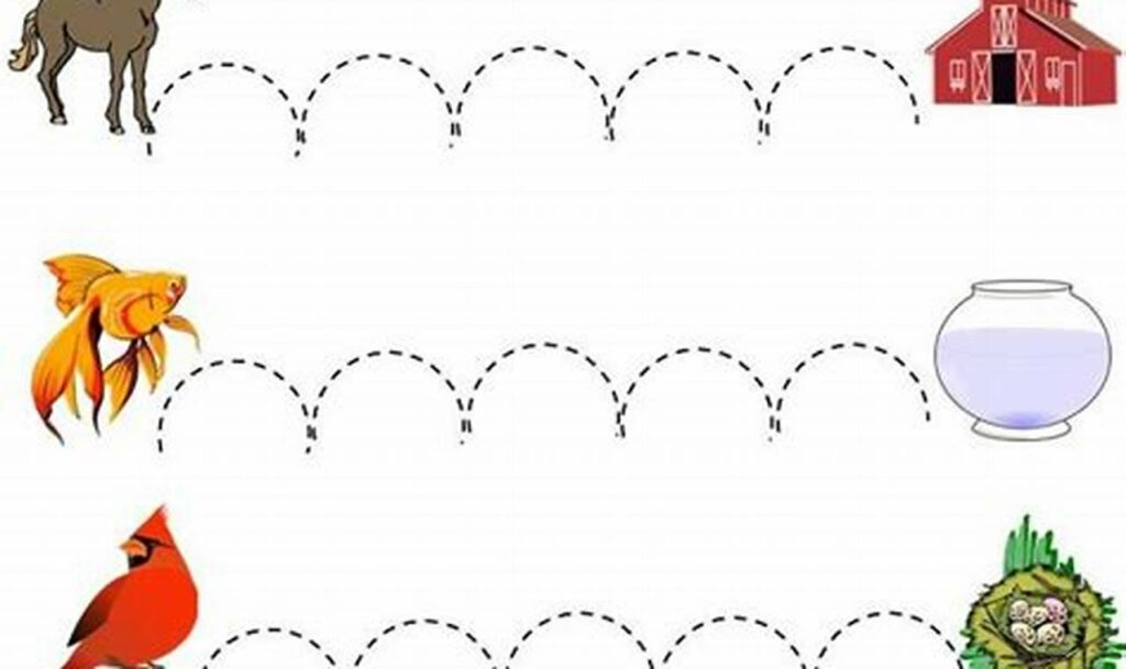 Boost Fine Motor Skills: Tracing for Early Childhood Fun!
