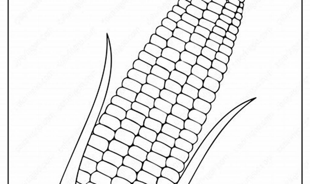 Trace & Learn: Corn Kernel Outlines for Young Learners!