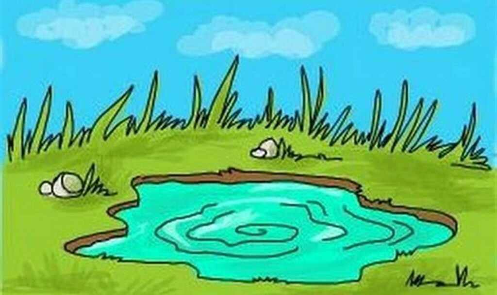 puddle reflection tracing for kids