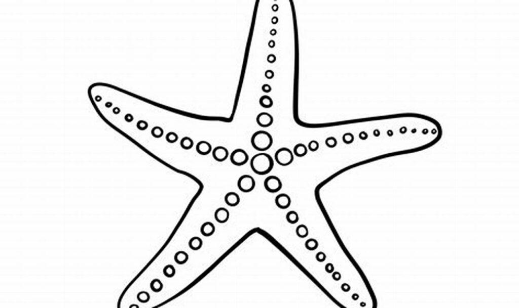starfish outline tracing for toddlers ocean