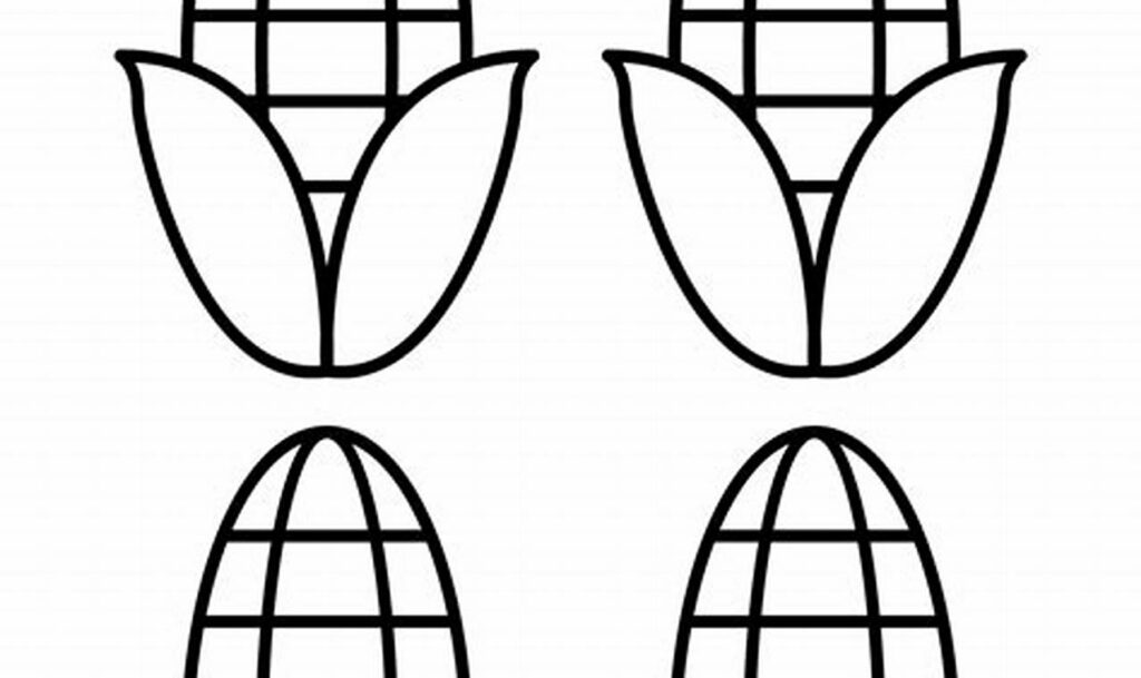 corn kernel outline tracing for kids farm
