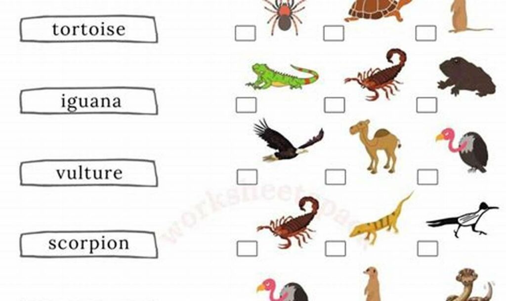 desert animal tracing for kids printable pdf