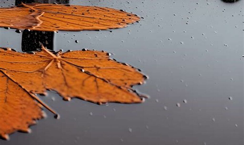 puddle reflection tracing for kids rainy day