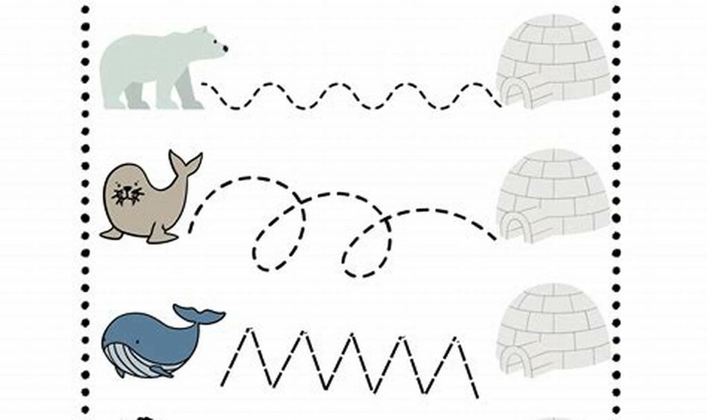 Fun Arctic Animal Tracing for Kindergarteners - Free!