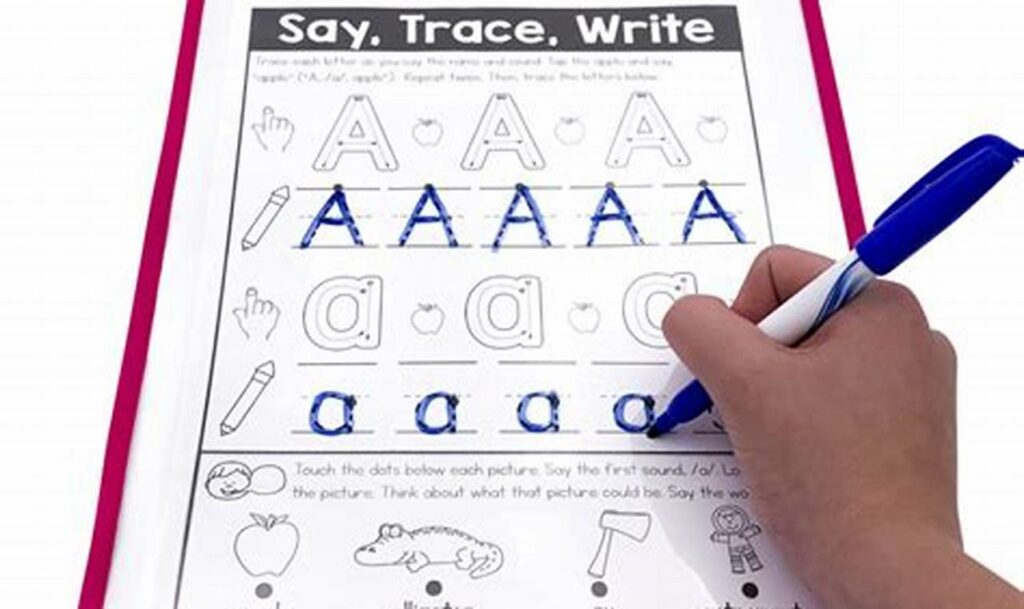 nocturnal animals tracing pages
