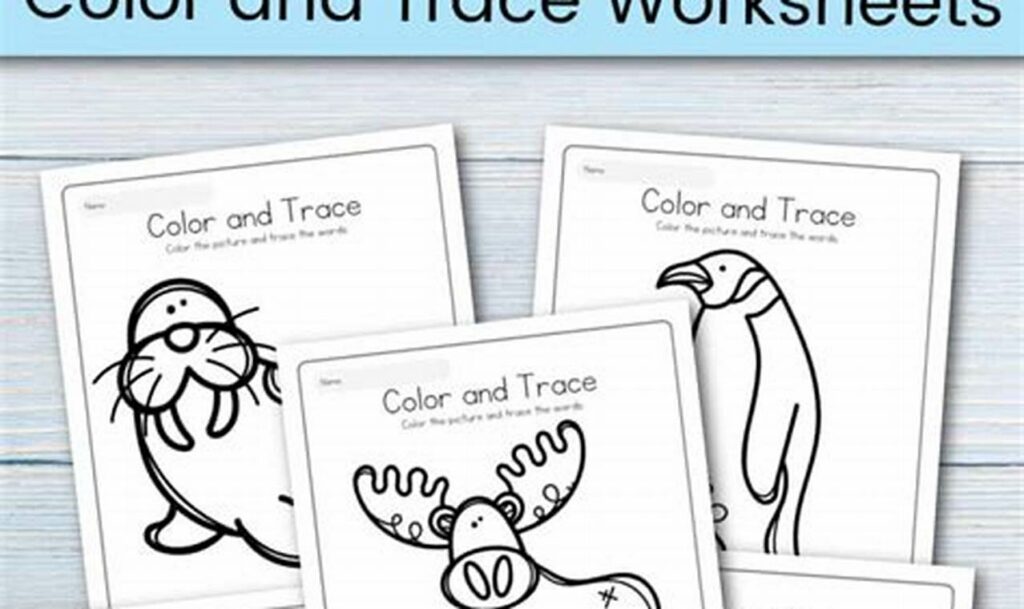 tracing animals in the snow