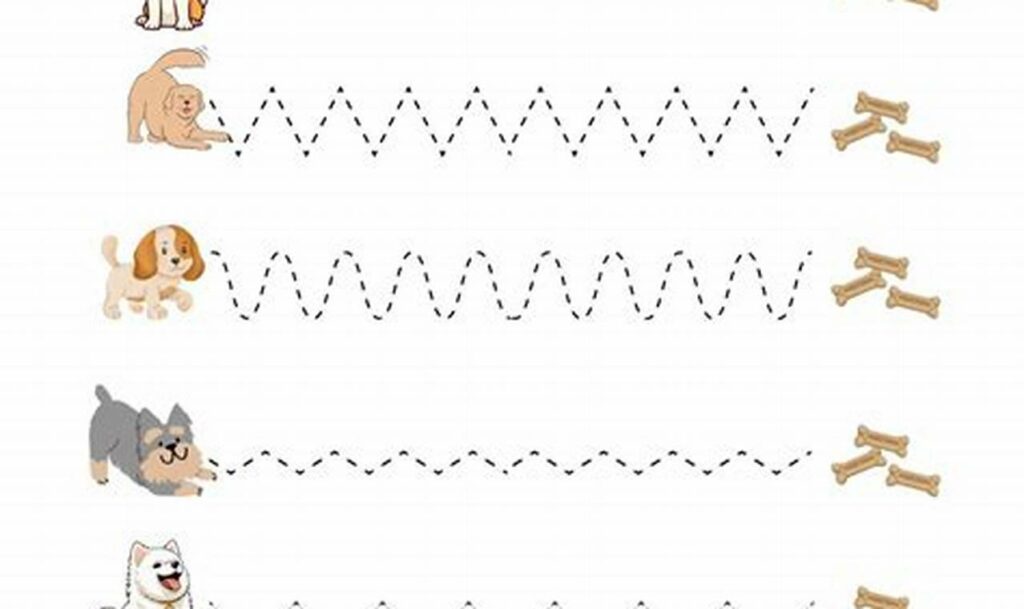 Fun Easy Line Tracing for Pre-K: Skills Builder!