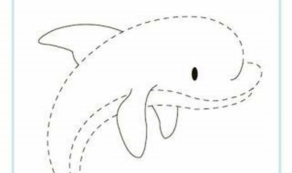 animal outline tracing for kids