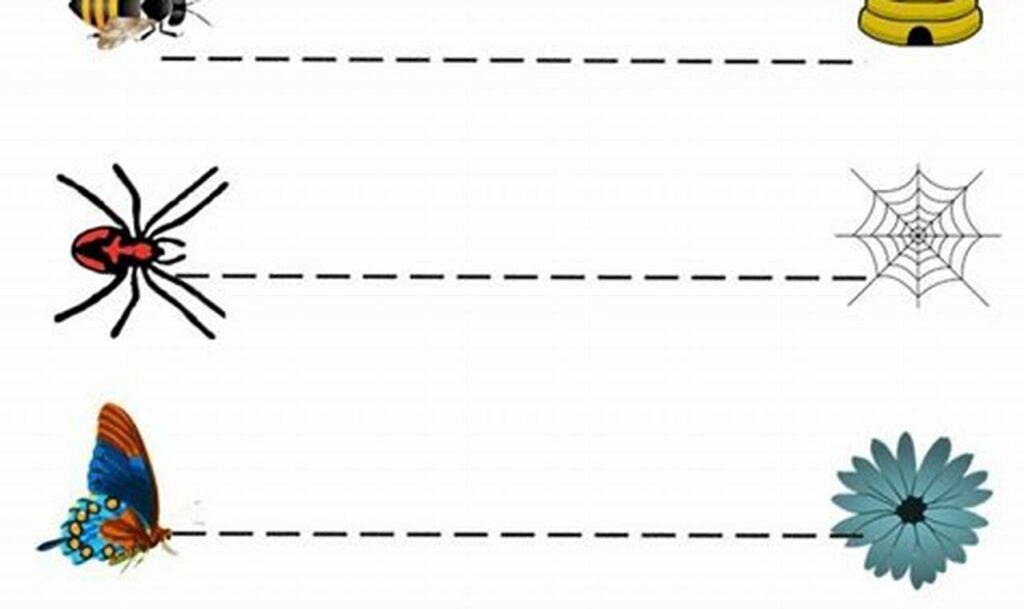 Boost Fine Motor Skills: Special Ed Tracing Worksheets for All Needs!