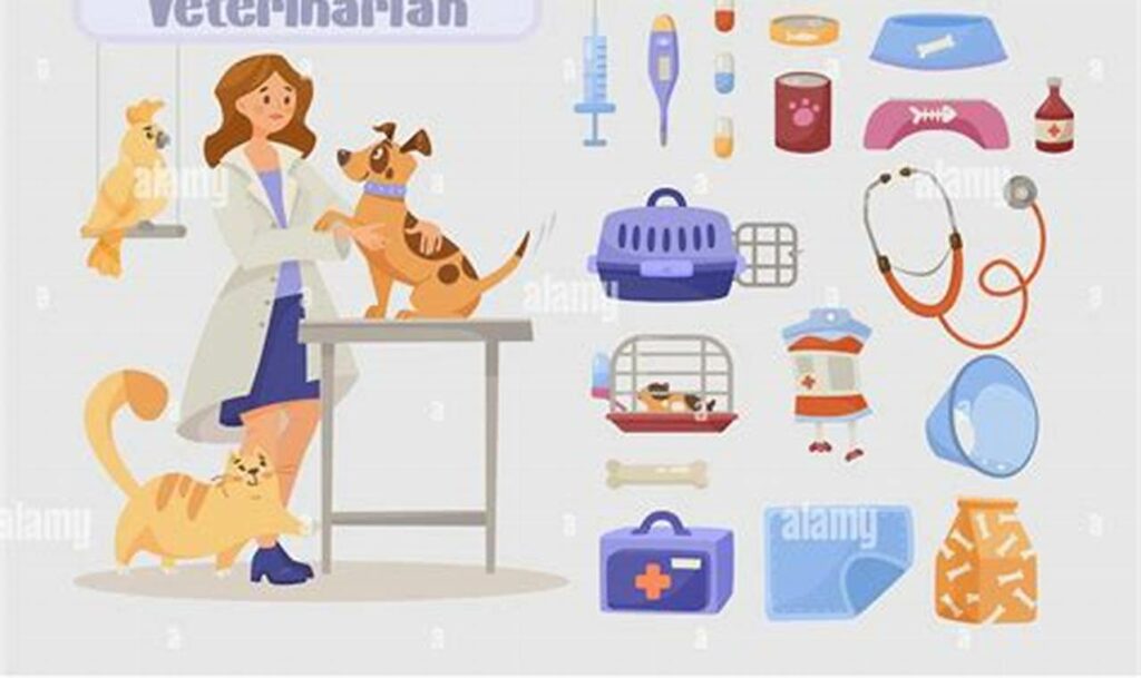 tracing a veterinarian's tools