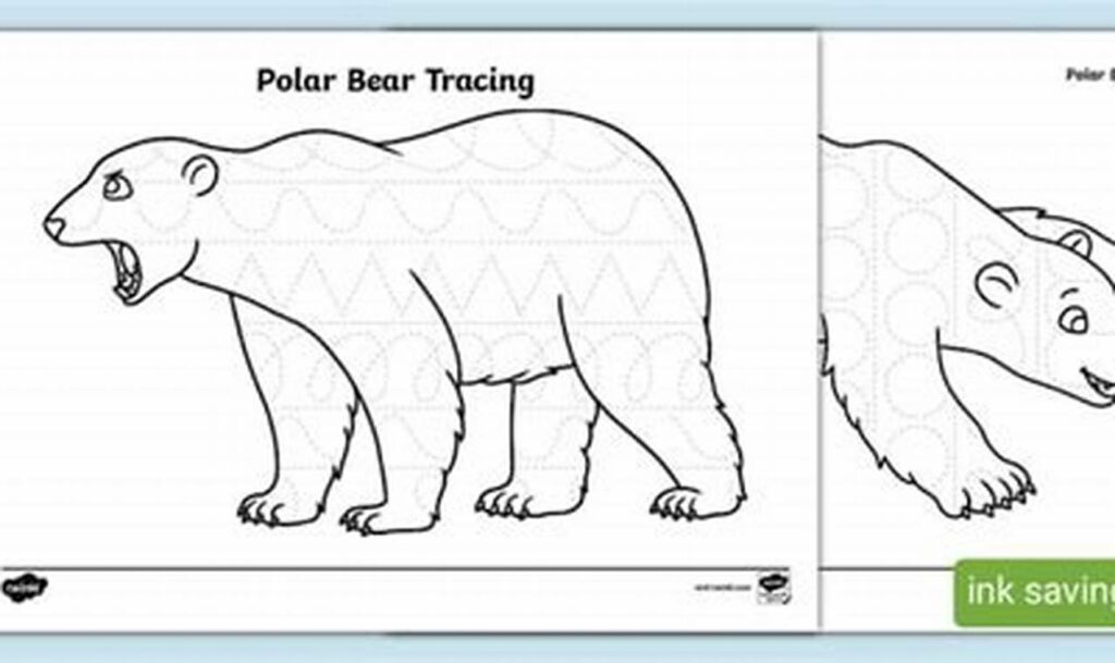 tracing polar bear tracks